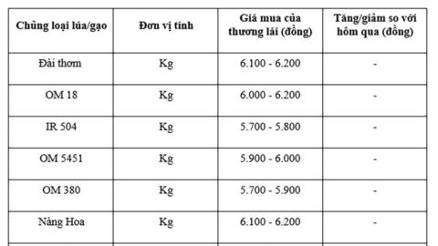 Giá lúa gạo hôm nay ngày 27/7 và tuần qua gạo xuất khẩu biến động mạnh