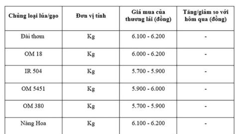 Giá lúa gạo hôm nay ngày 7/8: Gạo xuất khẩu tăng mạnh
