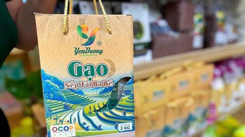 Đồng bào Dao và hành trình đưa giống nếp truyền thống thành hàng hóa