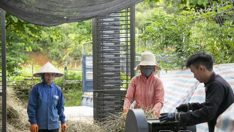 Nông nghiệp hữu cơ vươn lên từ lợi thế sinh thái miền núi