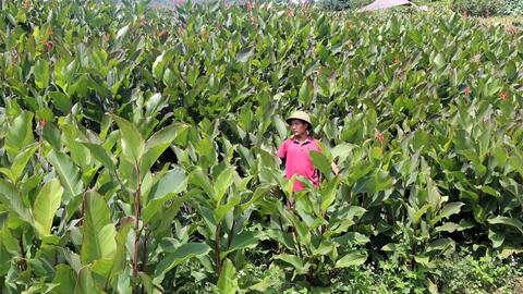 Miến dong Tài Hoan: Đặc sản núi rừng Côn Minh