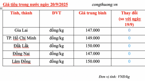 Giá tiêu hôm nay 20/9/2025: Trong nước tiếp tục đi ngang