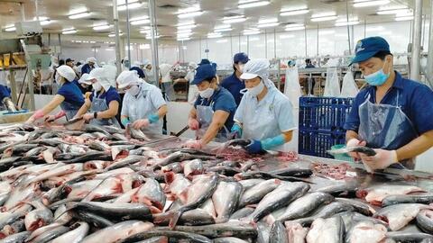 Bộ Công Thương đồng hành, xuất khẩu thủy sản tăng tốc nhờ FTA