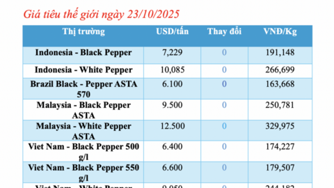 Giá tiêu hôm nay 23/10/2025: Giá nội địa và thế giới đều đi ngang