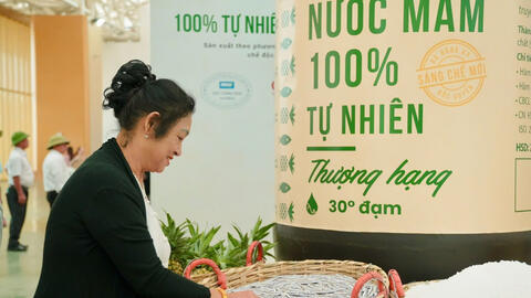 JiJi Ninh Thuận: Giữ hồn truyền thống trong sản phẩm nước mắm hiện đại