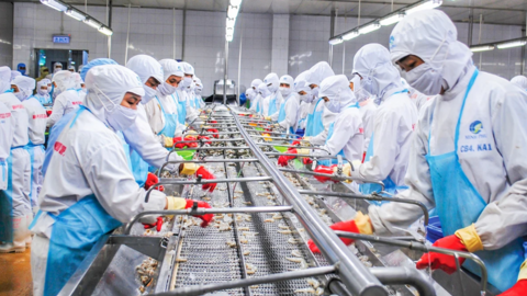 Cà Mau phát triển ngành thủy sản chủ lực 