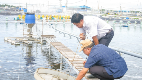 Bảo vệ tốt diện tích nuôi thủy sản trong các đợt mưa bão 
