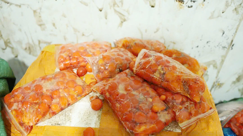 Bắc Ninh: Phát hiện gần 2 tấn thực phẩm đông lạnh không rõ nguồn gốc