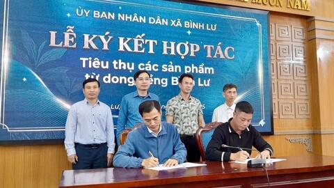 Mở rộng thị trường chế biến dong riềng