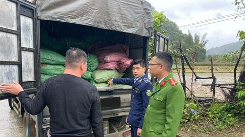 Cao Bằng: Thu giữ trên 1,8 tấn nguyên liệu thuốc lá không rõ nguồn gốc