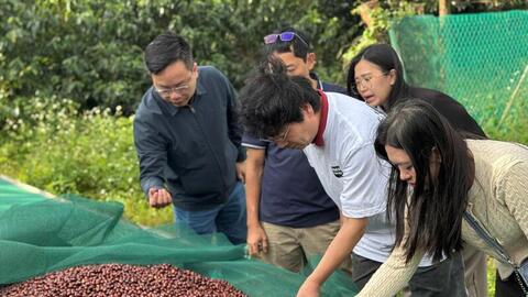 Doanh nghiệp quốc tế đánh giá Việt Nam là quốc gia số 1 về cà phê Robusta