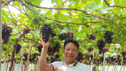 Gen Z và xu hướng tiêu dùng nông sản 'có câu chuyện'