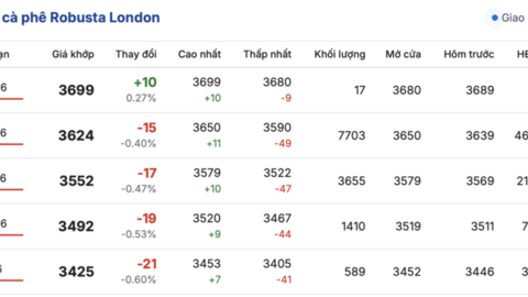 Giá cà phê hôm nay 28/2/2026: Đảo chiều giảm