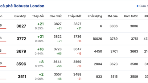 Giá cà phê hôm nay 7/3/2026: Đi ngang