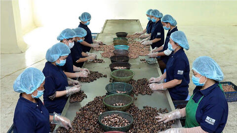 Chủ động kịch bản ứng phó xung đột Trung Đông, ổn định chuỗi nông sản