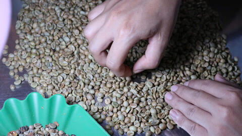 Giá cà phê hôm nay 2/4/2026: Trên đà hồi phục, tăng 1.700 đồng/kg