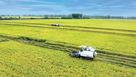 Dựng xây một Mekong Delta xanh - Chung khát vọng, cùng hành độngBài cuối: Xoay trục phát triển, bứt phá tương lai 