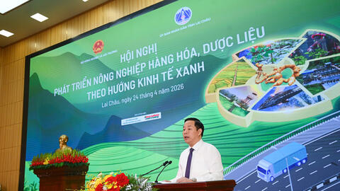 Lai Châu: Thúc đẩy nông nghiệp hàng hóa, dược liệu theo kinh tế xanh