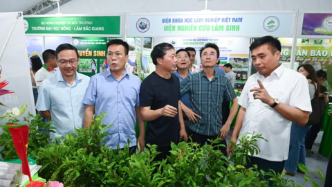 Lai Châu hướng tới chuỗi giá trị nông nghiệp xanh, bền vững