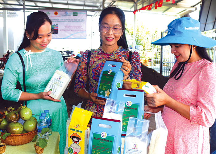 ViRiCert - Công cụ hỗ trợ nông dân sản xuất lúa đạt tiêu chuẩn để được chứng nhận “Gạo Việt xanh, phát thải thấp” 