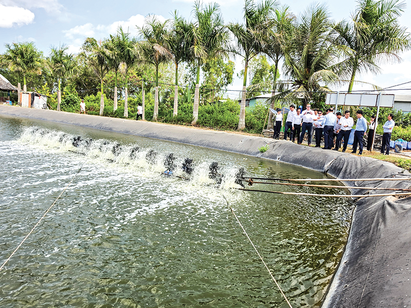 Tiềm năng phát triển nuôi thủy sản 