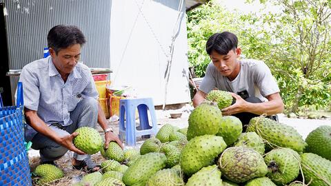 Hỗ trợ nông dân phát triển sản xuất 