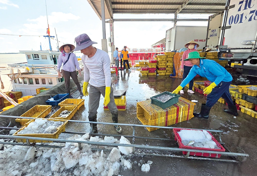 Phát triển công nghiệp chế biến thủy sản, nâng cao giá trị xuất khẩu 