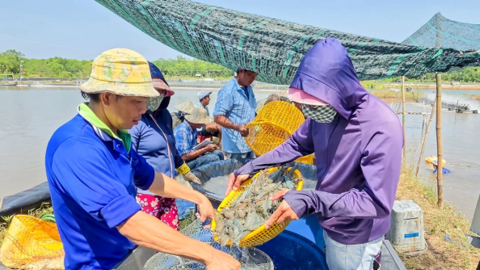 Bàn giải pháp quản lý sức khỏe và kiểm soát dịch bệnh trên tôm 