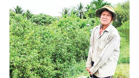 Dạo quanh thị trường ngày 8-5-2026 