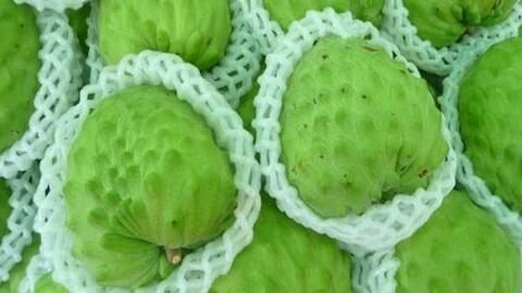 Giá nông sản hôm nay ngày 12/5: Nhiều mặt hàng giữ giá cao