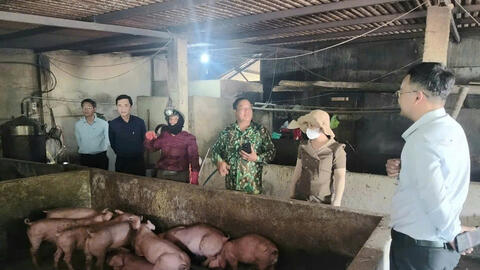 Xã A Lưới 1: Phát triển nông nghiệp gắn với nâng cao giá trị, bền vững