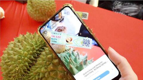 Truy xuất nguồn gốc, ‘hạ tầng mềm’ của xuất khẩu nông sản