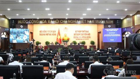 Đà Nẵng chi trăm tỷ để phát triển sâm Ngọc Linh và dược liệu