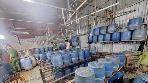 Hưng Yên: Khởi tố đối tượng dùng chất cấm sản xuất gần 800kg giá đỗ