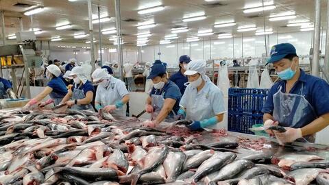 Xuất khẩu nông, lâm, thủy sản tăng tốc, hướng tới mốc 74 tỷ USD