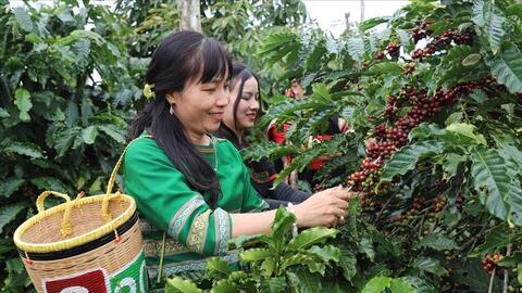 Hướng đi mới trong xây dựng dữ liệu vùng trồng đáp ứng quy định EUDR