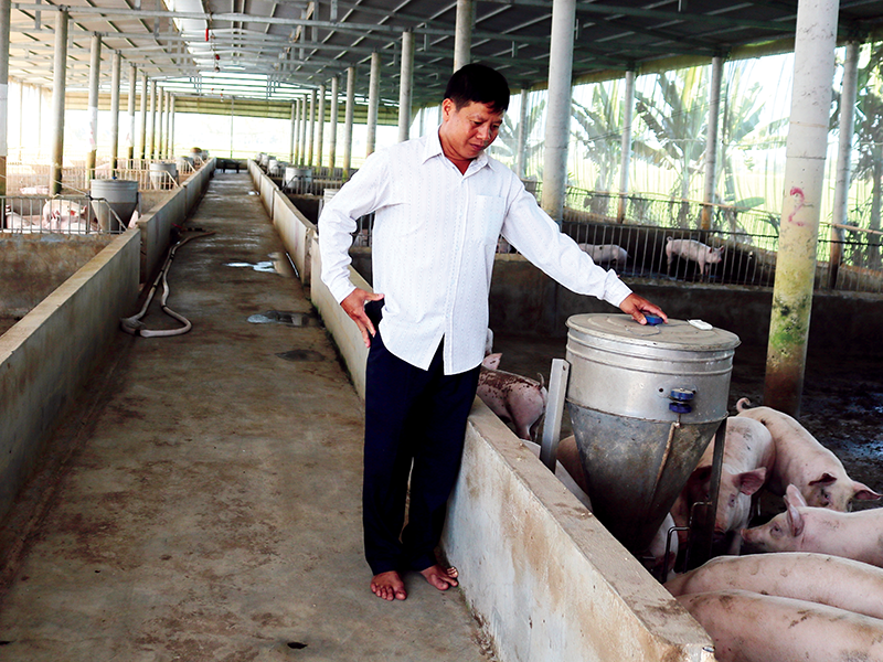 Chăn nuôi gia súc gia cầm duy trì phát triển tốt 