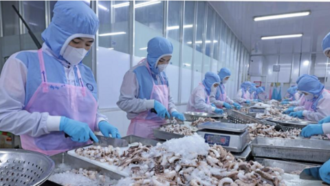 Ngăn chặn gian lận xuất xứ để bảo vệ lợi ích hàng Việt tại thị trường EU