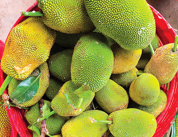 DẠO QUANH THỊ TRƯỜNG (26-6-2026) 