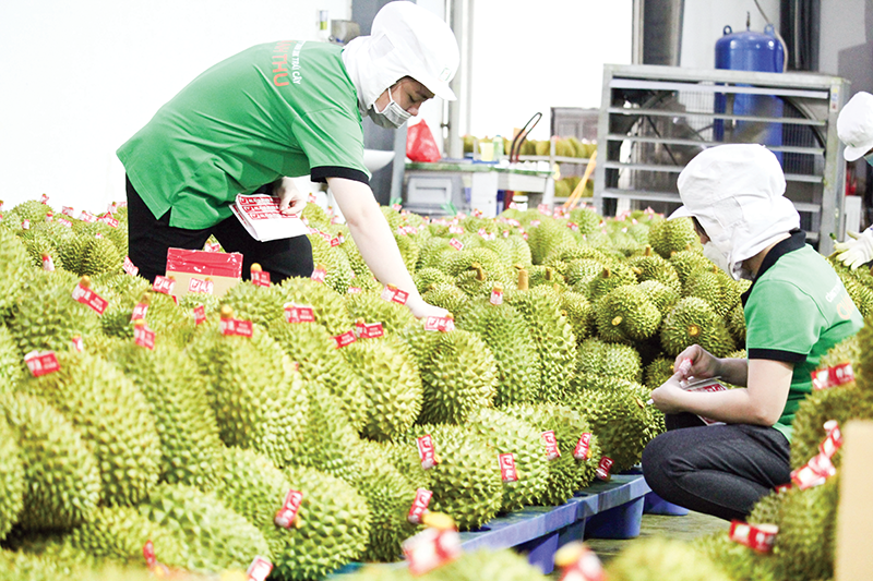 Đổi mới tư duy, nâng cao năng lực thích ứng 