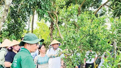 Tiếp sức cho nông nghiệp hữu cơ 