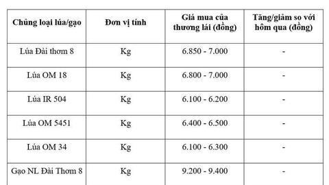 Giá lúa gạo hôm nay ngày 19/7/2026, tuần qua: Lúa tươi biến động mạnh
