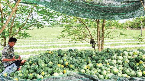 Dạo quanh thị trường 22-7 