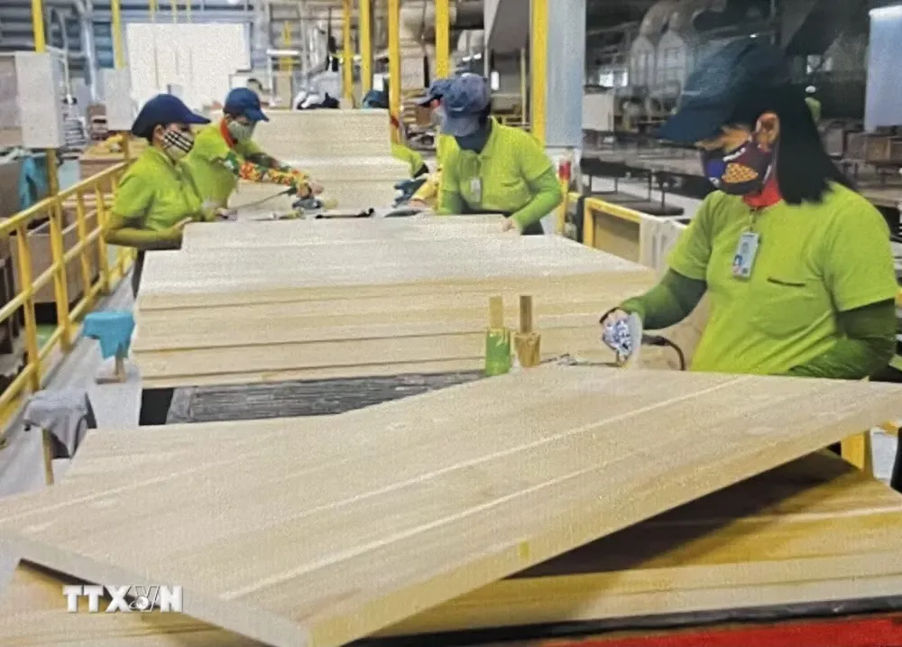 Thuế Mục 301 của Hoa Kỳ sẽ tác động thế nào đến thủy sản và gỗ Việt Nam? 