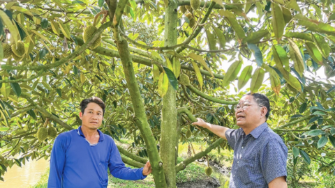 Cần nhân sự chất lượng cao hỗ trợ hợp tác xã phát triển trong giai đoạn mới 