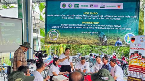 Thúc đẩy nhân rộng vùng nguyên liệu sản xuất lúa chất lượng cao và phát thải thấp 