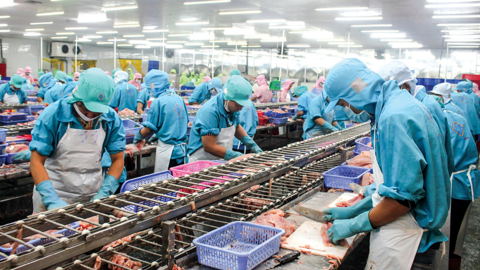 Nâng tầm chuỗi giá trị thủy sản trong thực hiện mục tiêu tăng trưởng 