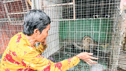 TP Cần Thơ có 1.779 cơ sở gây nuôi động vật hoang dã