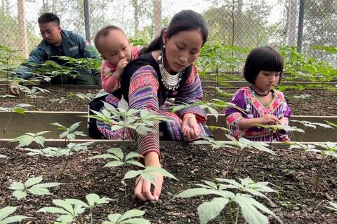 <a href="/nong-thon-moi" title="Nông thôn mới" rel="dofollow">Nông thôn mới</a>