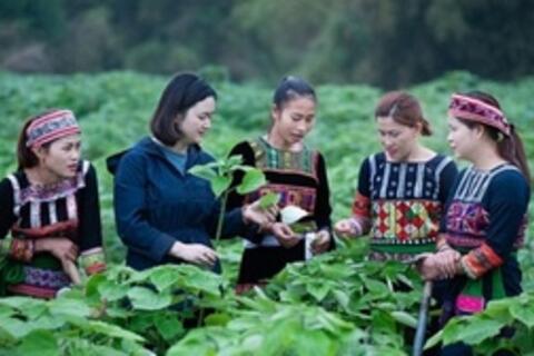 <a href="/chinh-sach" title="Chính sách" rel="dofollow">Chính sách</a>